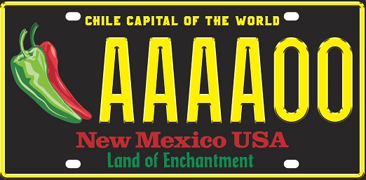 Chile License Plate Picture